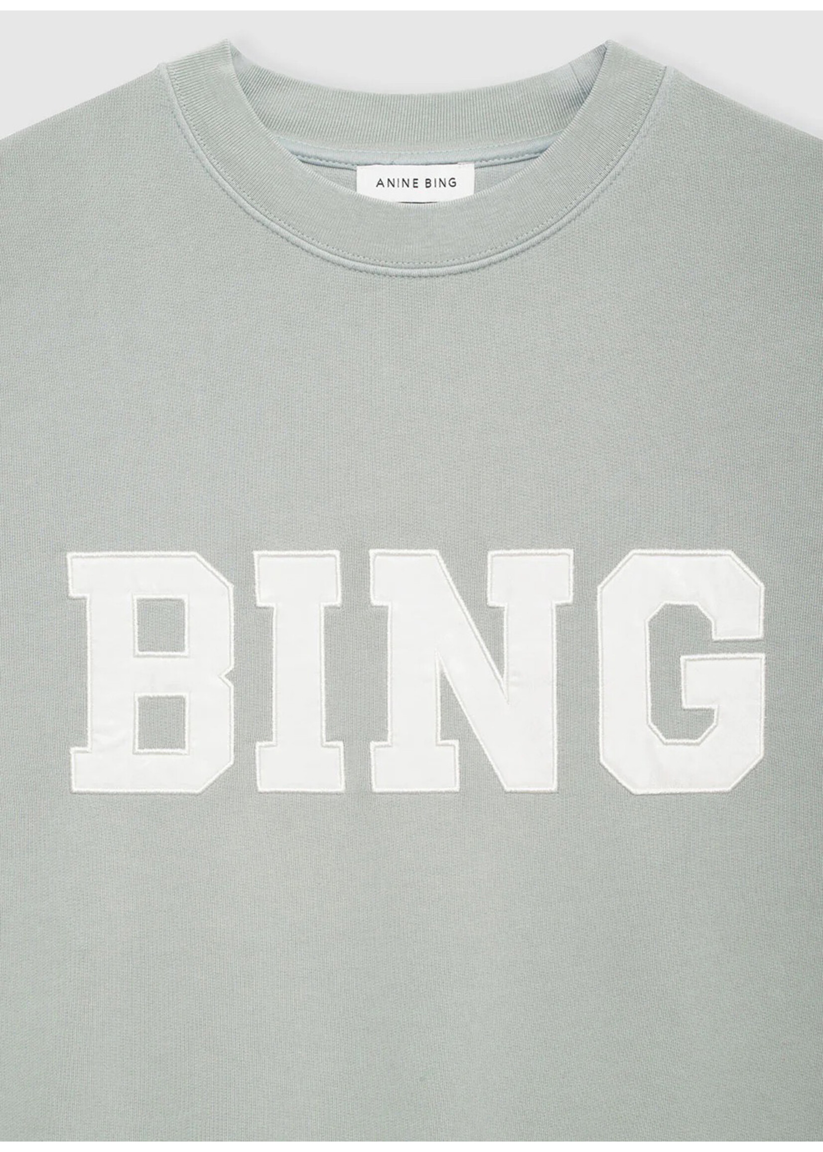 Anine Bing Tyler Sweatshirt Satin Bing Sage Green