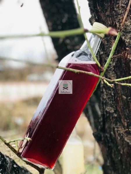 Black Grape Vinegar - 500mL