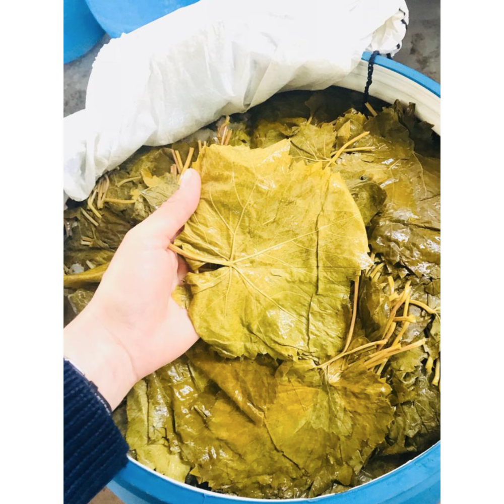 Pickled sultaniye seedless grape leaves KudoMarkt