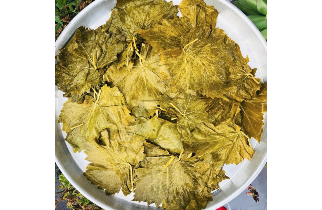 Pickled sultaniye seedless grape leaves KudoMarkt