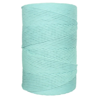 Single Twist 4.5MM Mint Aqua 500M