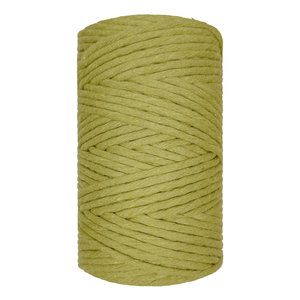 Single Twist 4.5MM Kiwi 100M