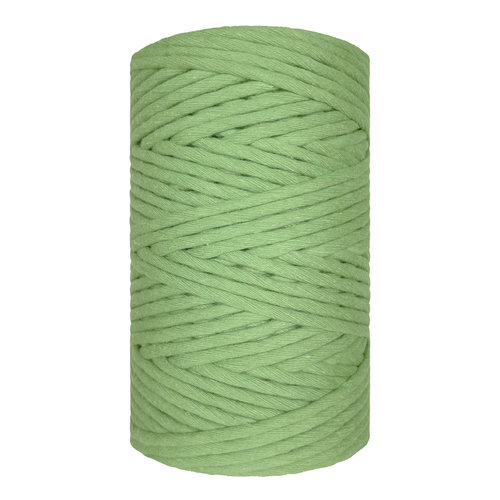 Hearts Single Twist 4.5MM Agave Green 100M