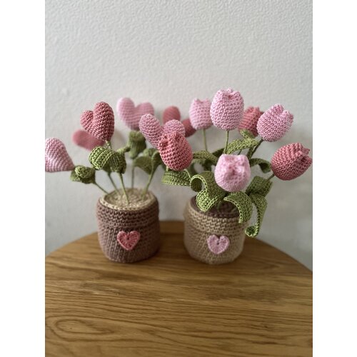 Hearts Hearts & Tullips Haakpakket 2 potjes bloemen