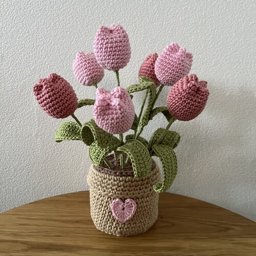 Hearts Hearts & Tullips Haakpakket 2 potjes bloemen