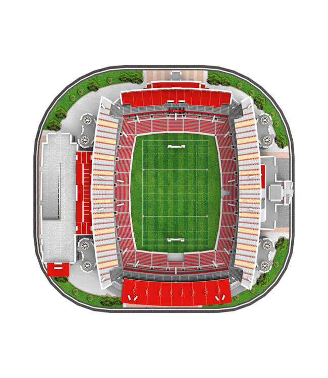 Lions Ellis Park Stadium 3d puzzle (South Africa)