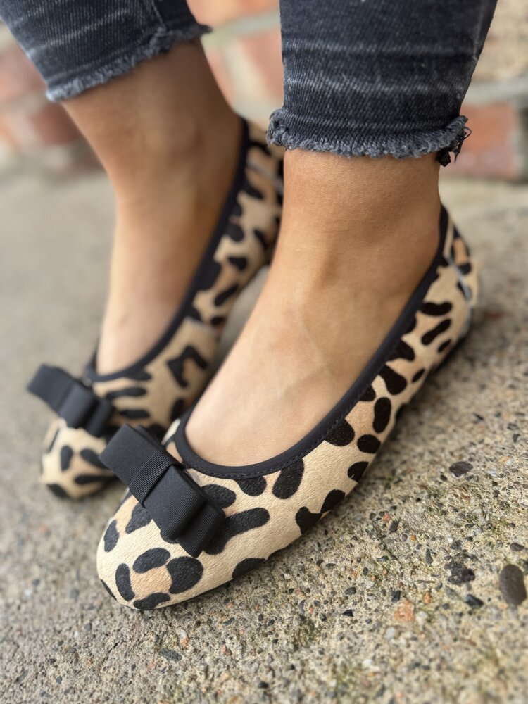 Loretta Vitale W5325