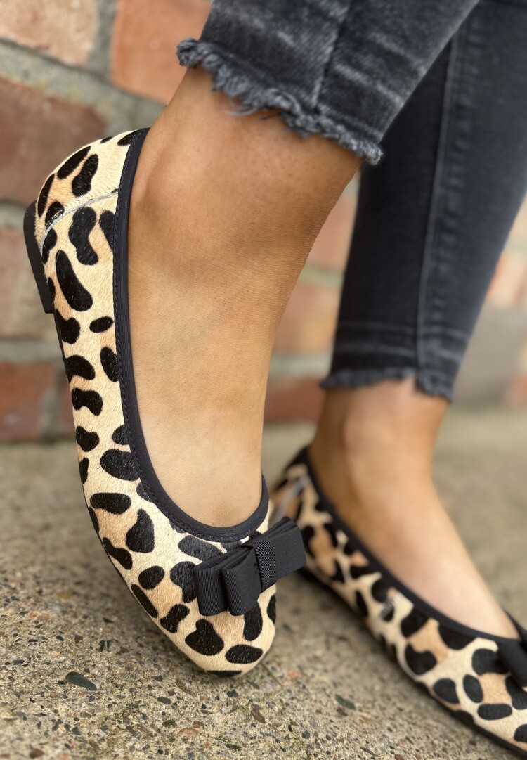 Loretta Vitale W5325