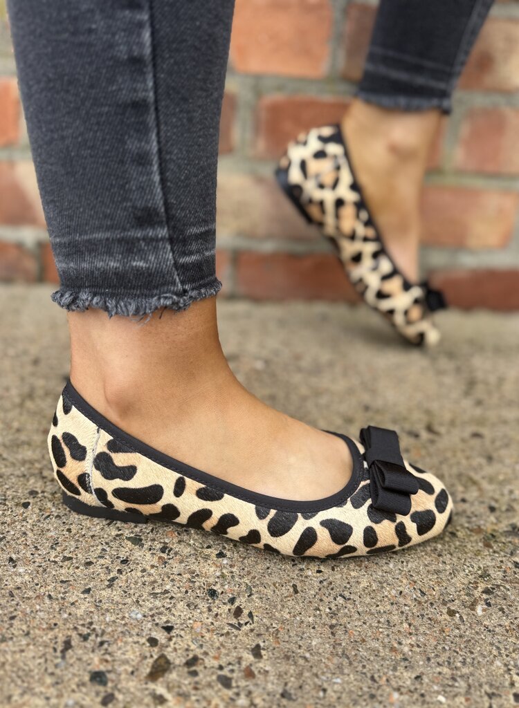 Loretta Vitale W5325