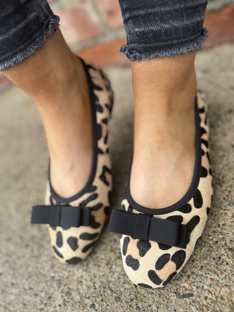 Loretta Vitale W5325