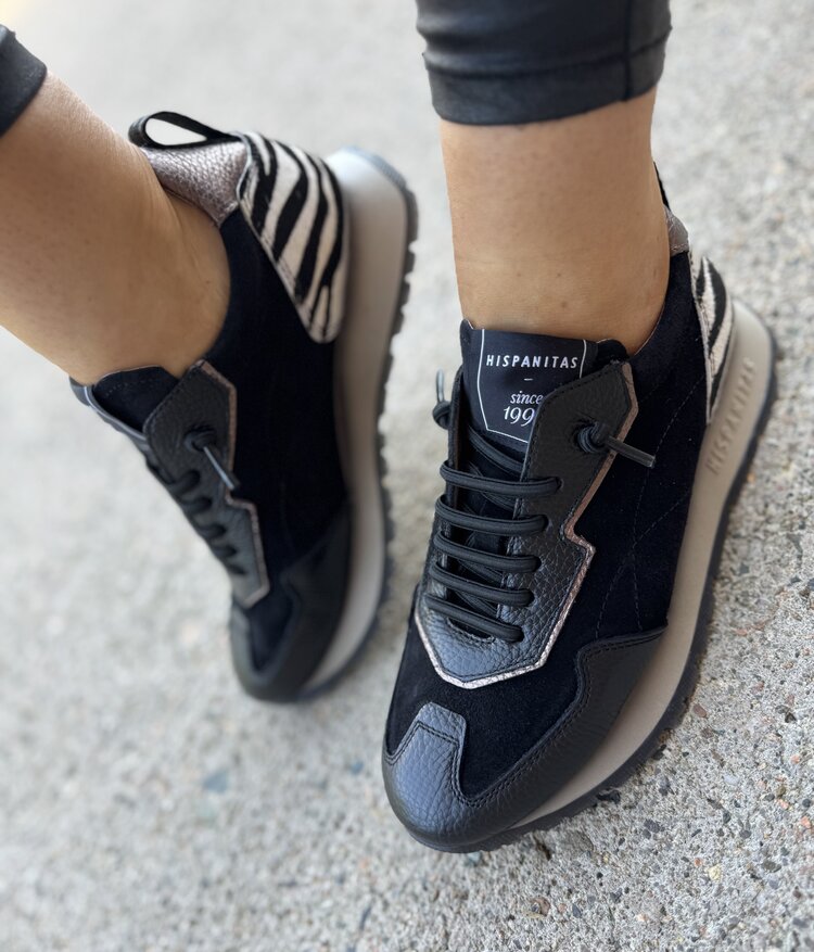 Hispanitas ZHI254312