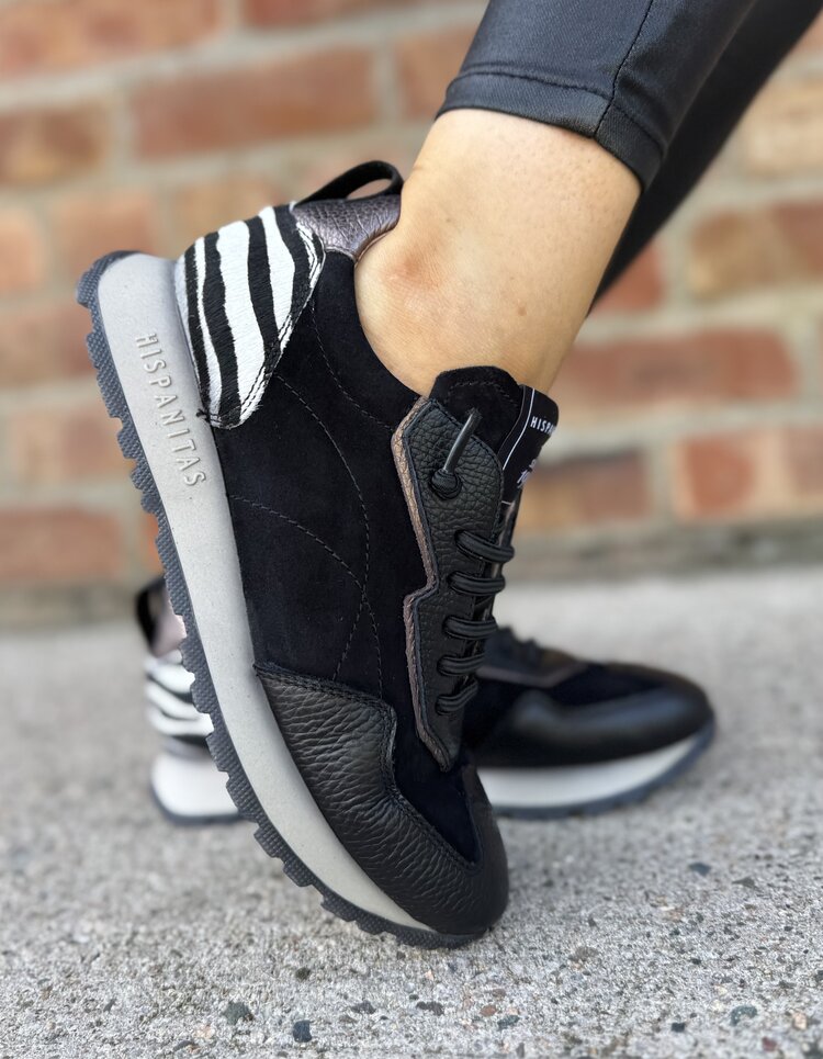 Hispanitas ZHI254312