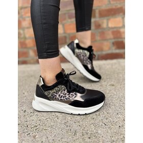 Nero Giardini E512864D