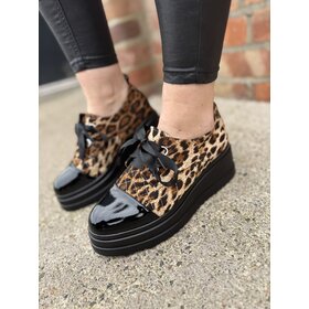 Kate Appleby Loftshaw