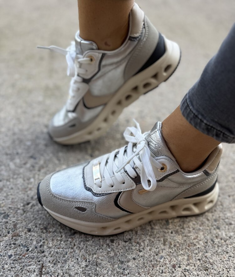 Lloyd & Pryce Barsoum