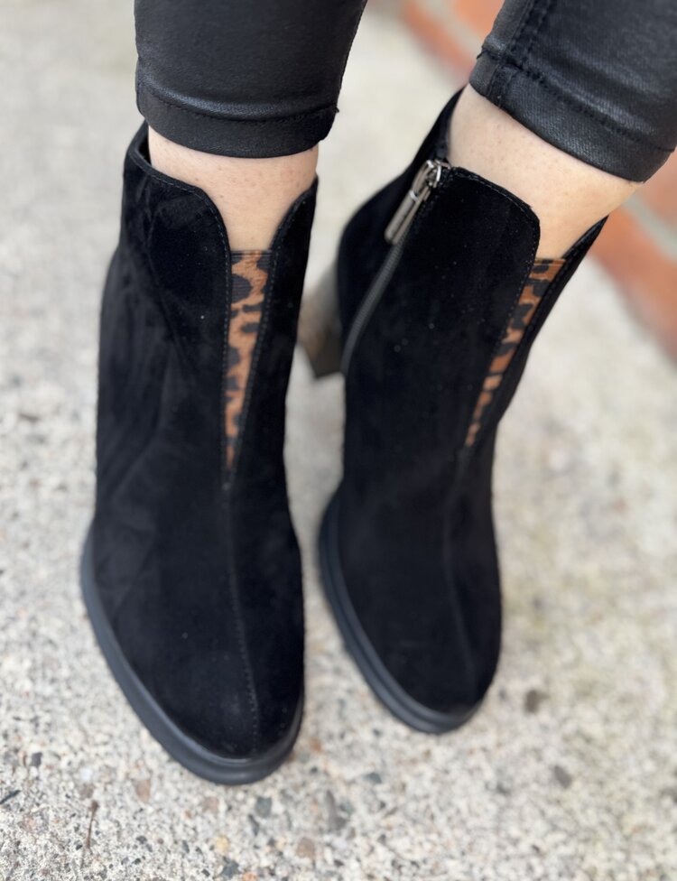 Loretta Vitale C6911