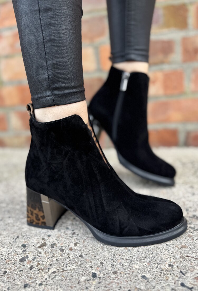 Loretta Vitale C6911