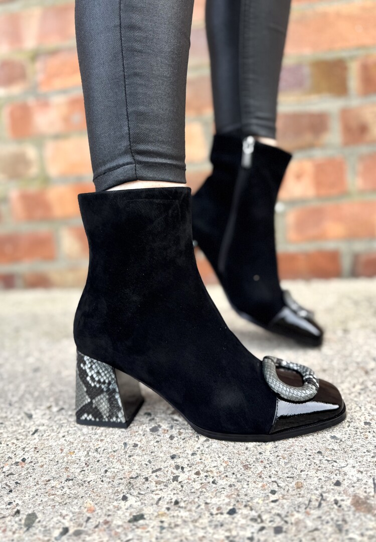 Loretta Vitale C3863