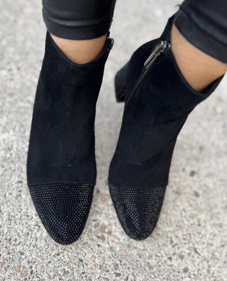 Loretta Vitale C1507