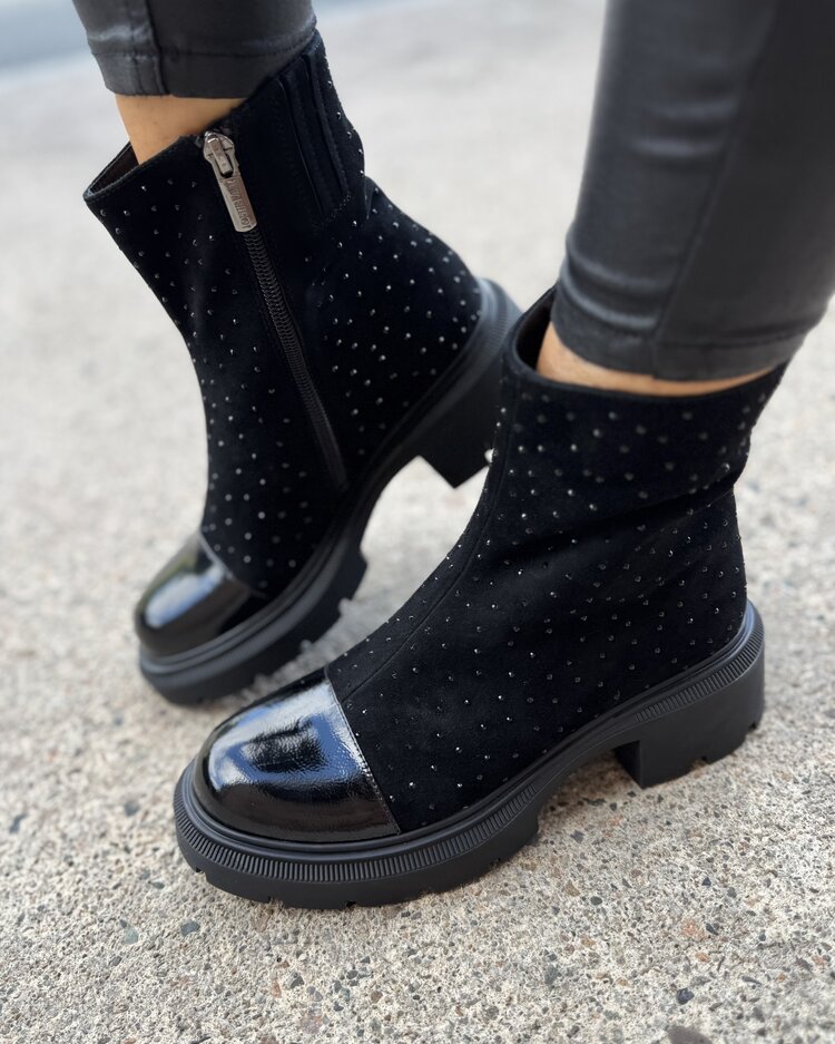 Loretta Vitale C1503