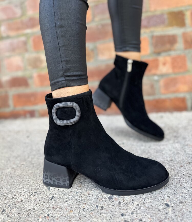 Loretta Vitale C3852