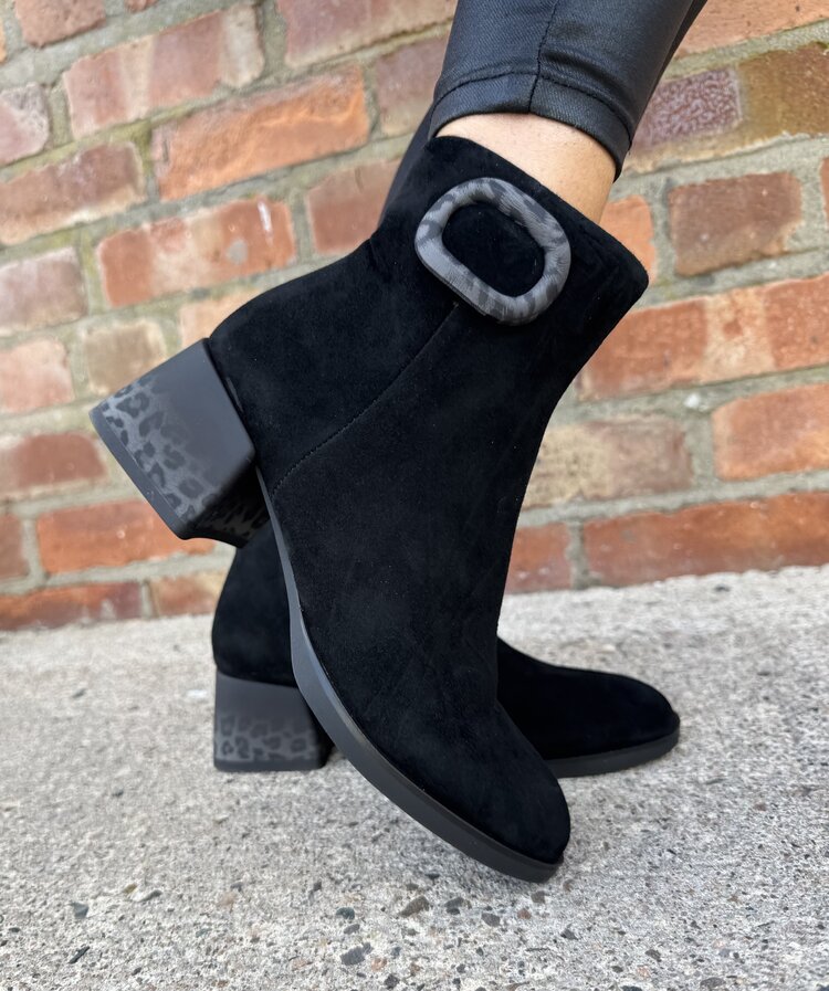 Loretta Vitale C3852