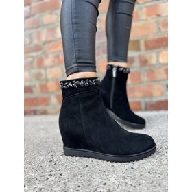 Loretta Vitale C3854