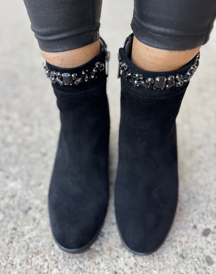 Loretta Vitale C3854