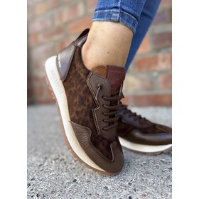 Hispanitas CHI254312