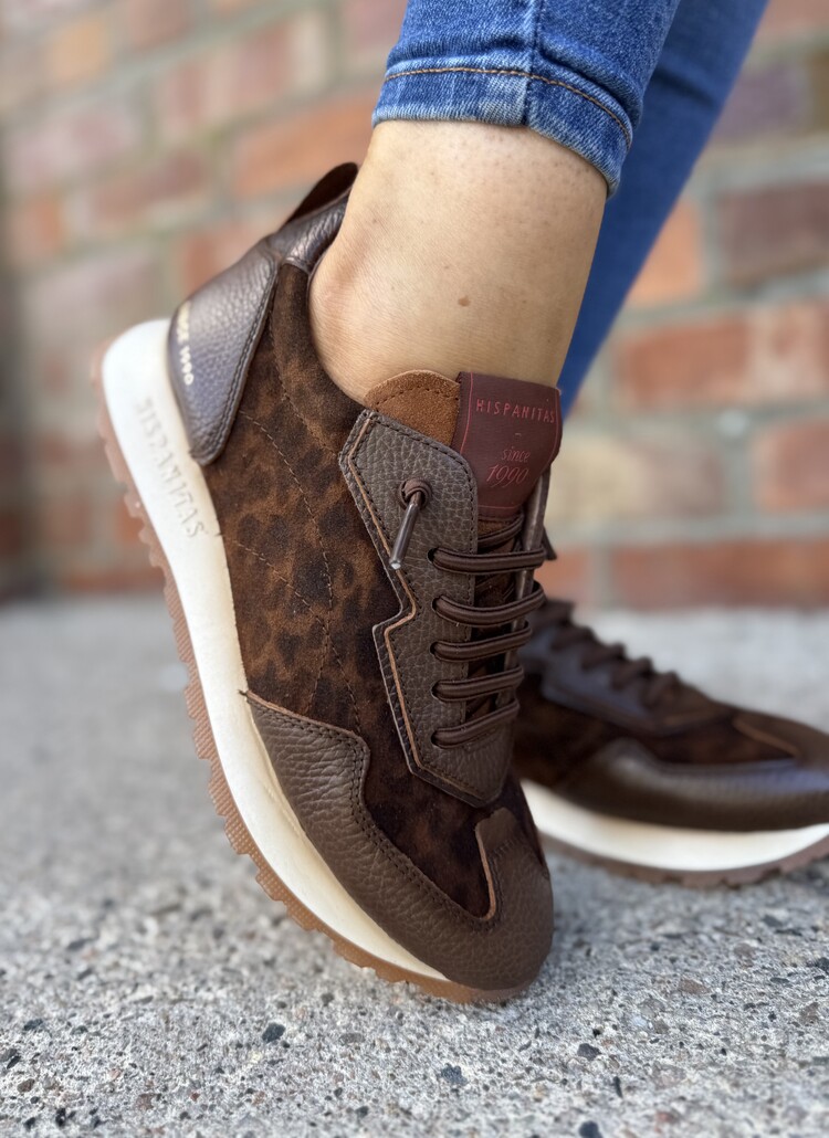 Hispanitas CHI254312