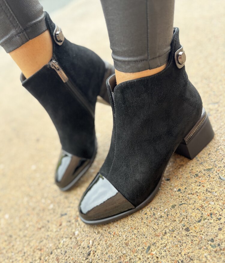 Loretta Vitale C3865A