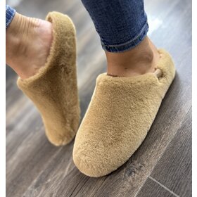 & Other Step 06068015