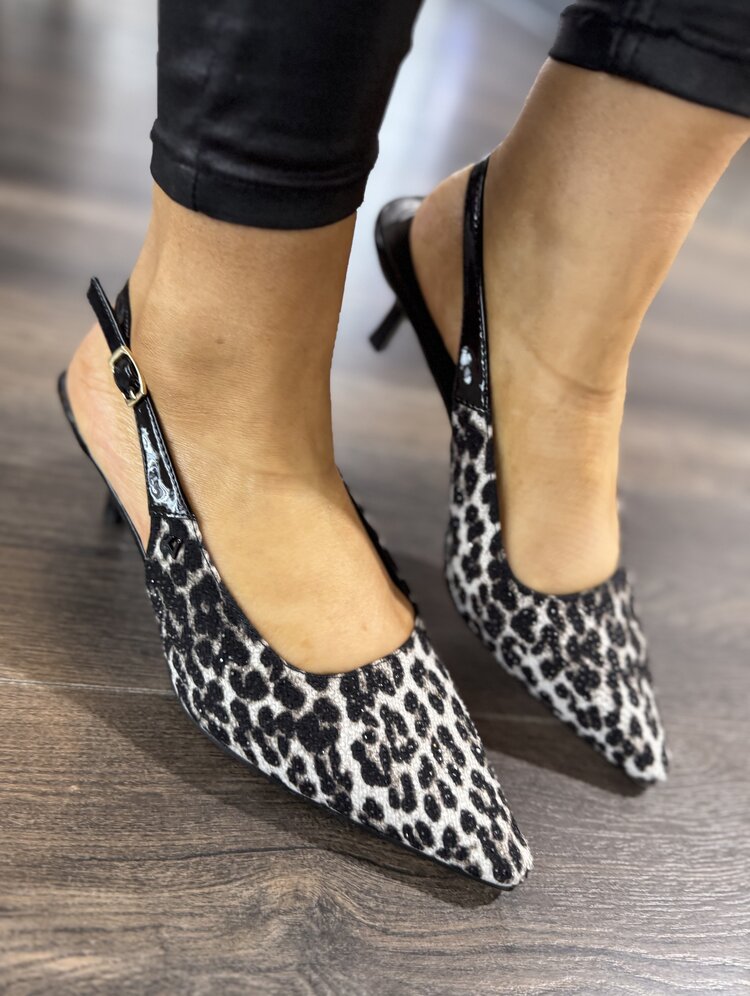 Una Healy Bird Hunters