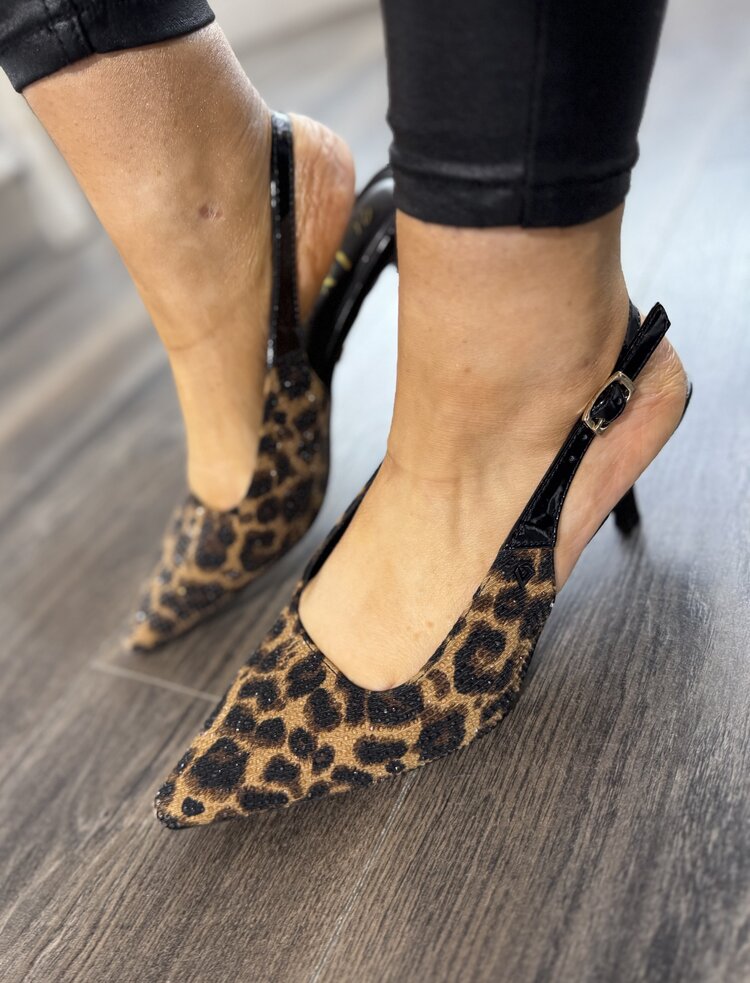 Una Healy Bird Hunters