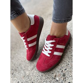 Drilley's Sixty Four