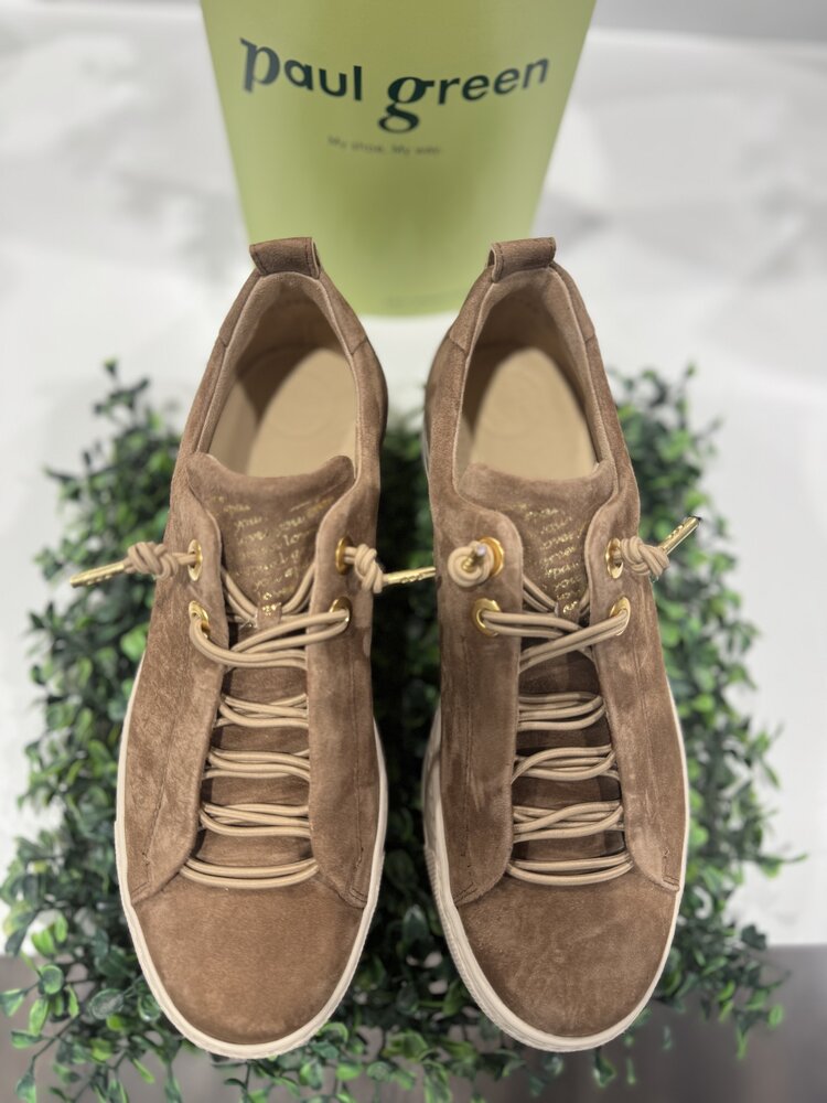 Paul Green 5017