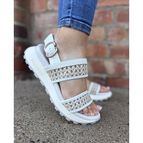 Hispanitas RHV264714