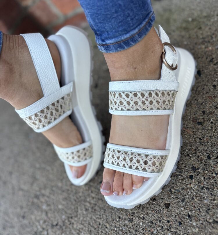 Hispanitas RHV264714