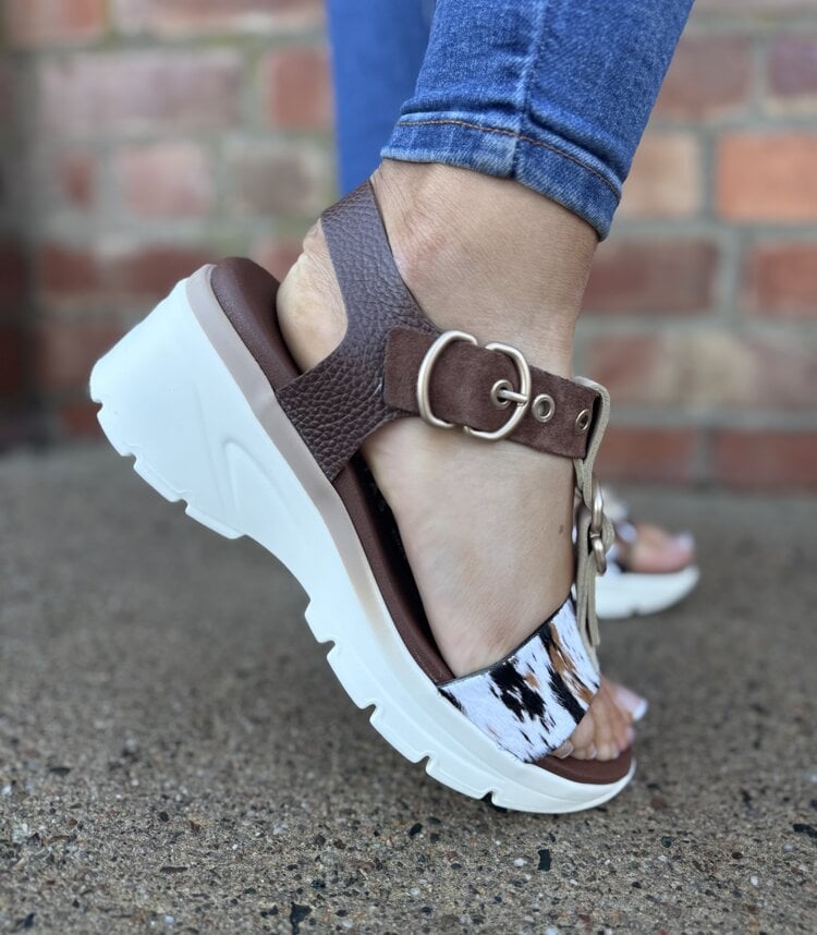 Hispanitas CHV264799