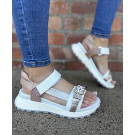 Hispanitas CHV264679