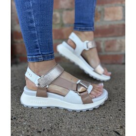 Hispanitas CHV264807