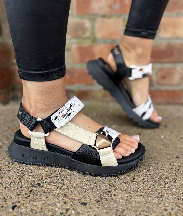 Hispanitas CHV264807