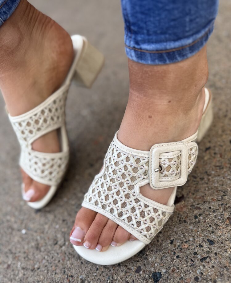 Hispanitas RHV264750