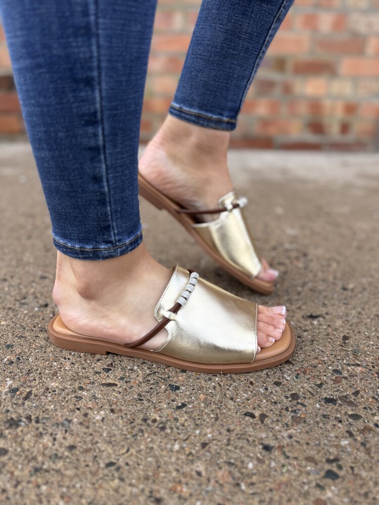 Loretta Vitale W9912