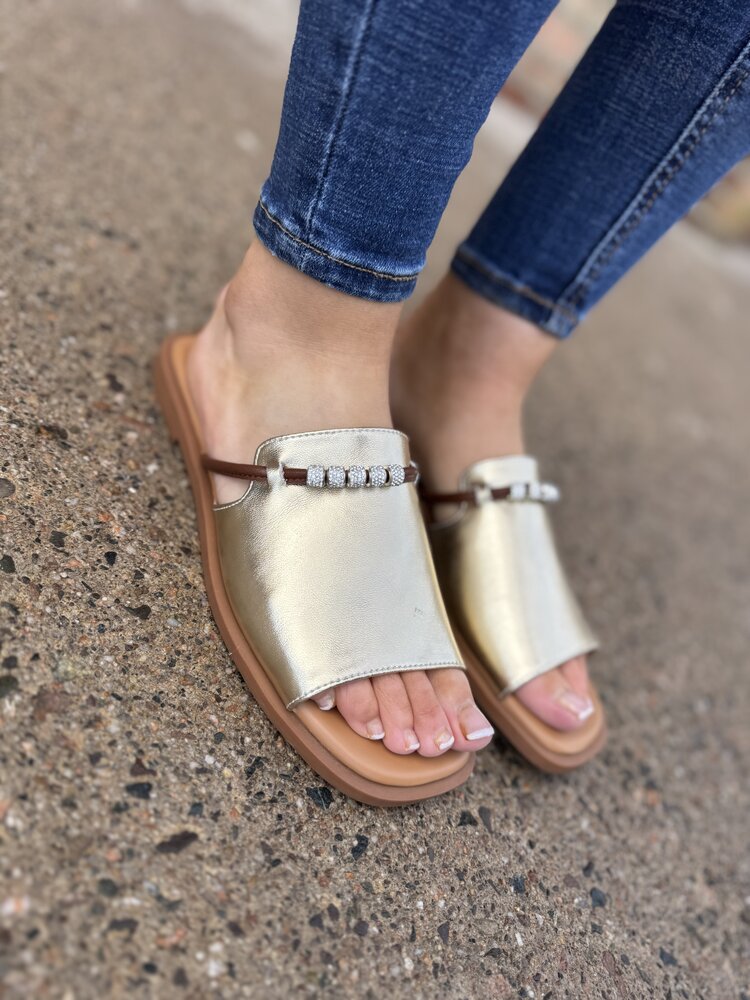 Loretta Vitale W9912