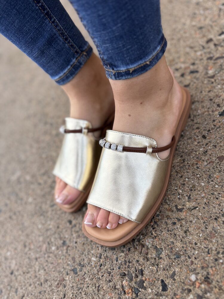 Loretta Vitale W9912