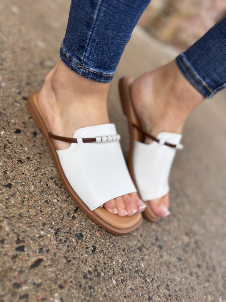 Loretta Vitale W9912