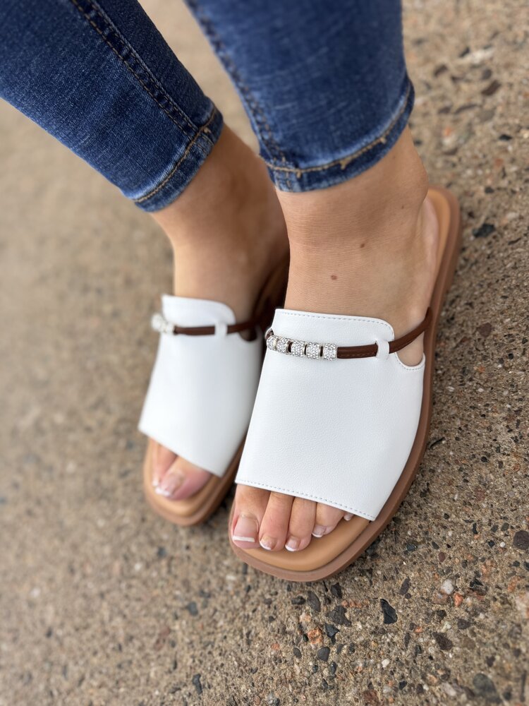 Loretta Vitale W9912