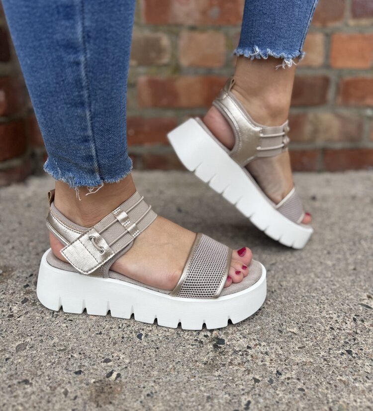 Marco Tozzi 28542-46