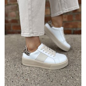 Patrizio Como Maratea